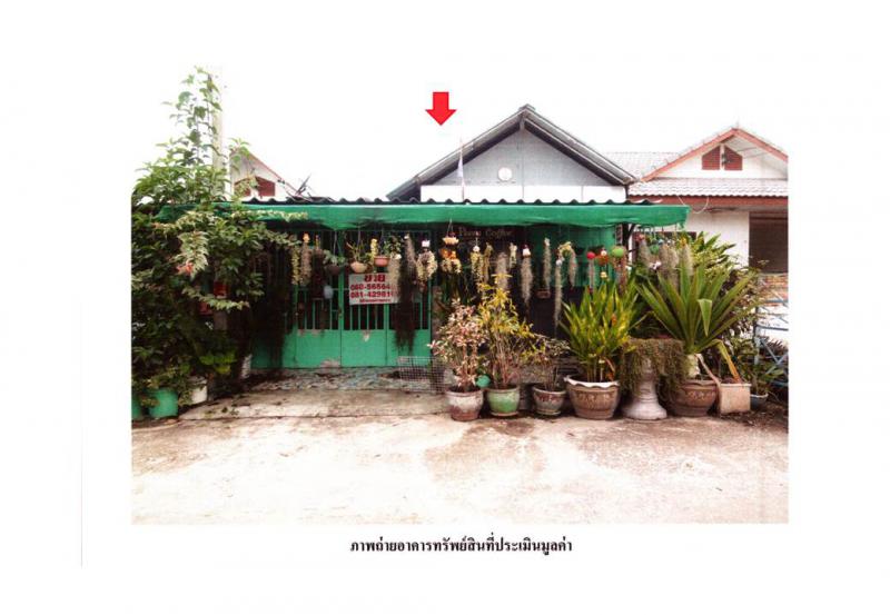 หินเหล็กไฟ หัวหิน ประจวบคีรีขันธ์