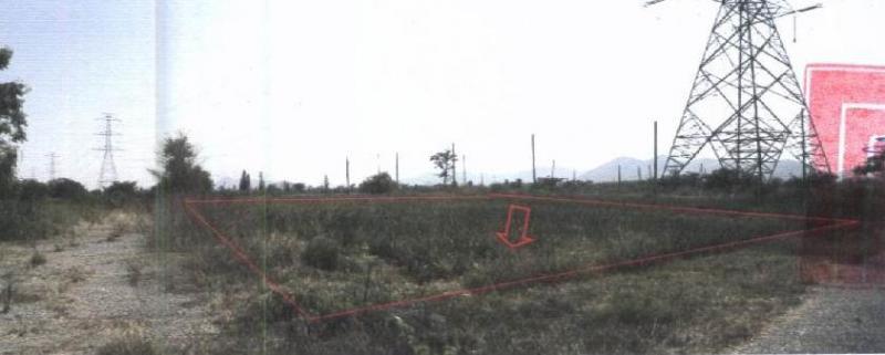 หินเหล็กไฟ หัวหิน ประจวบคีรีขันธ์